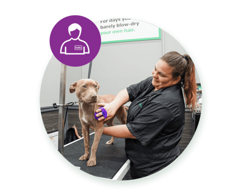 Pet Supplies Plus groomer with dog