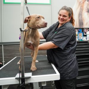 Pet Supplies Plus employee grooming a dog
